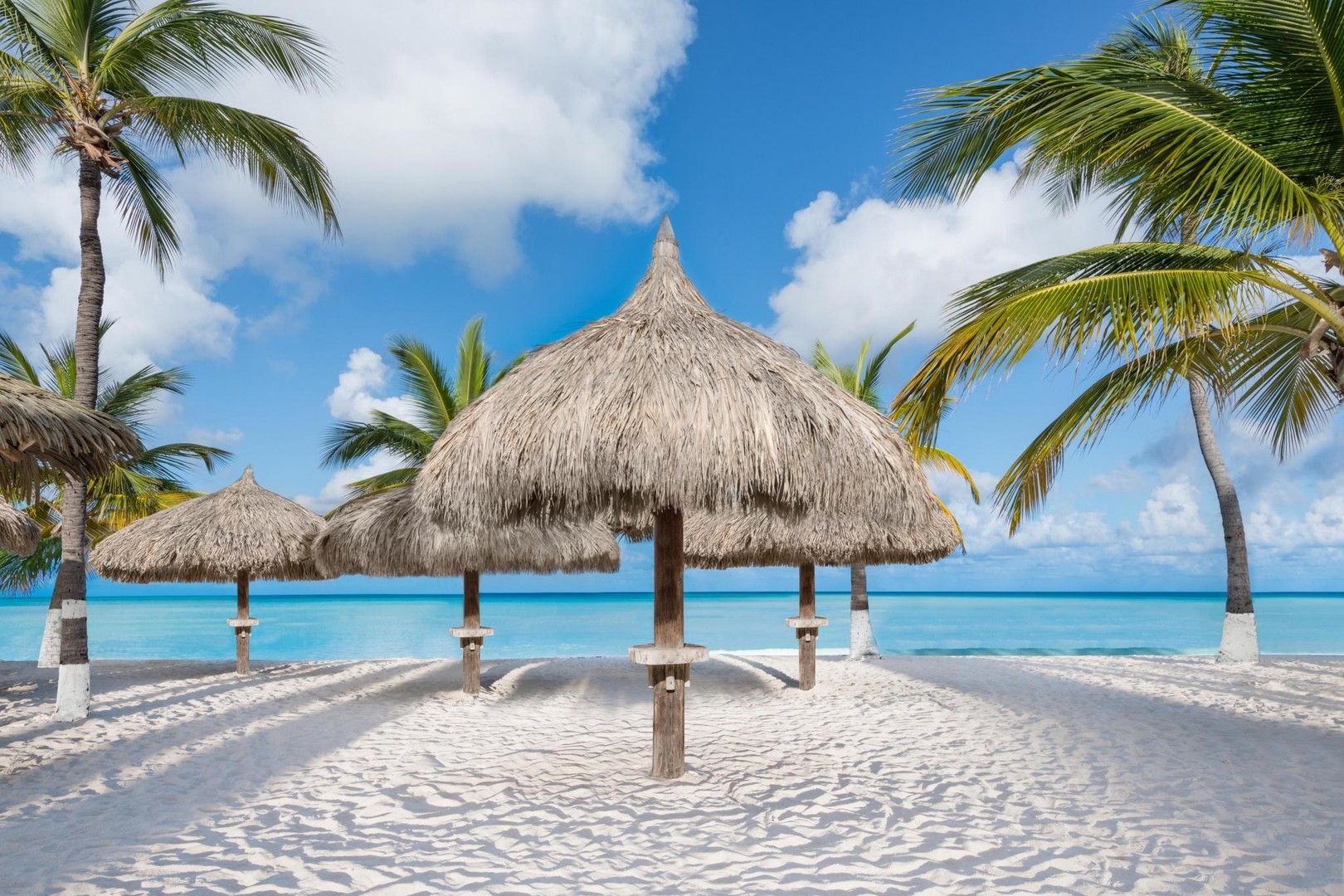 Holiday Inn Resort Aruba – fotka 4