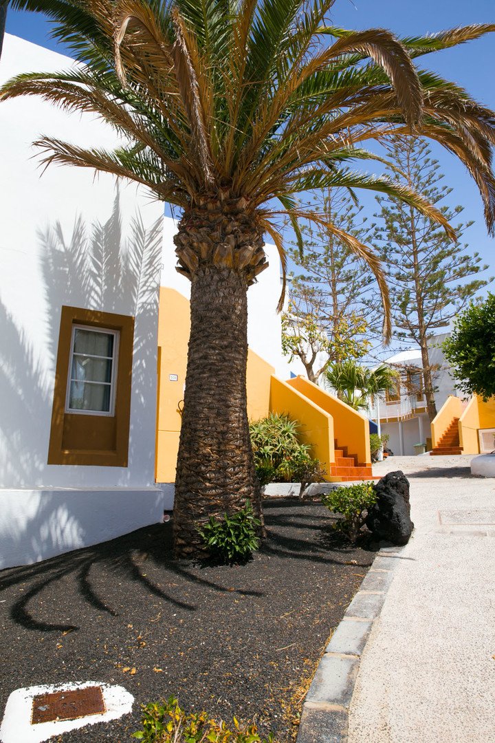 Aparthotel The Morromar – fotka 12