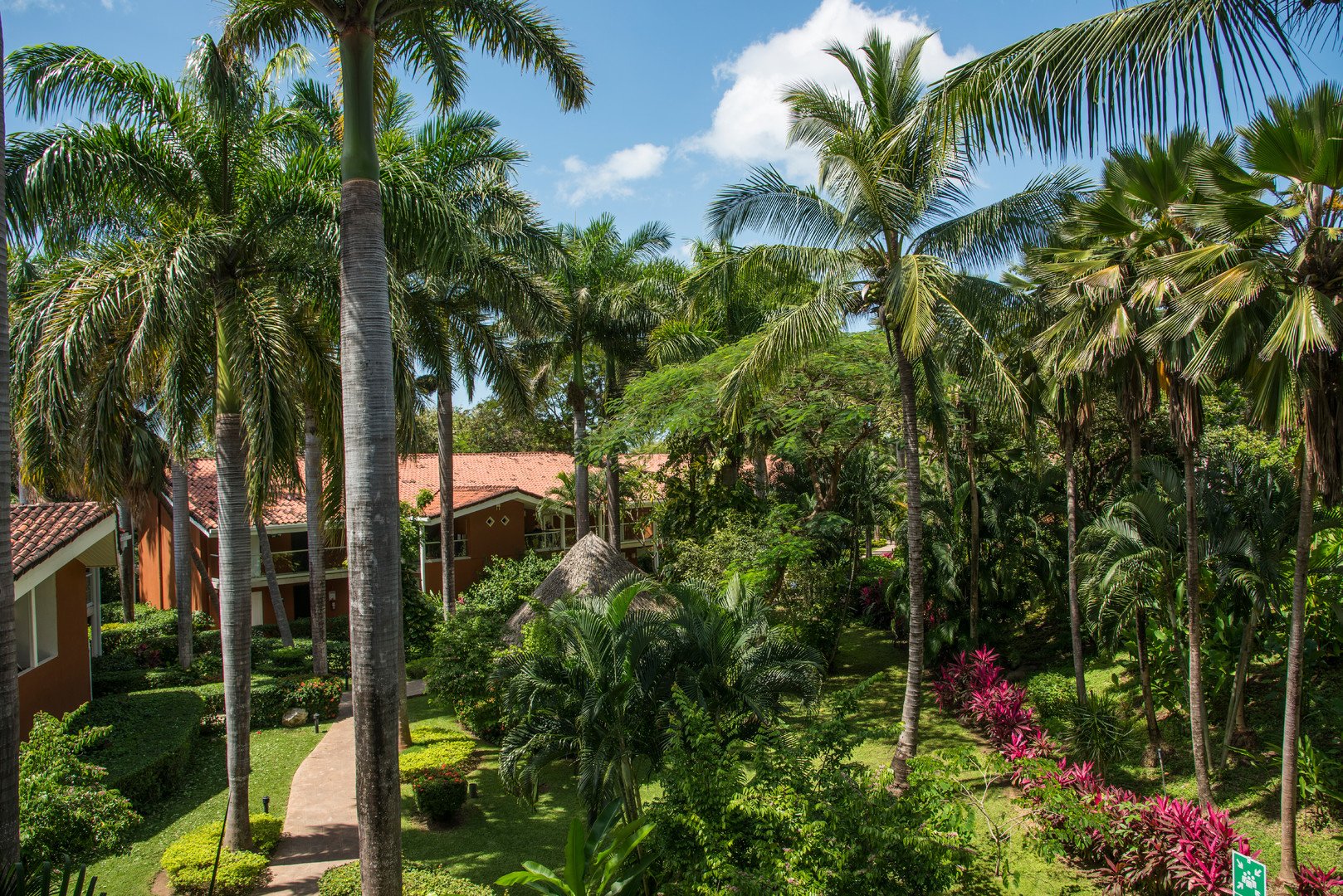 Occidental Tamarindo – fotka 4