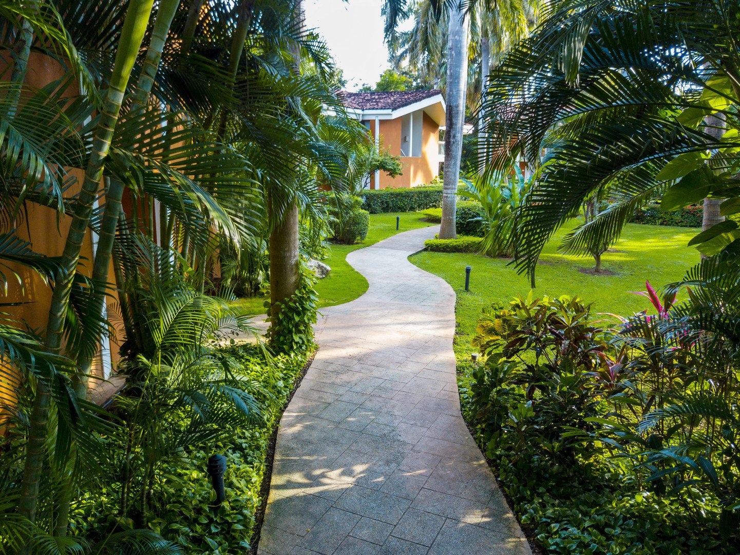 Occidental Tamarindo – fotka 5