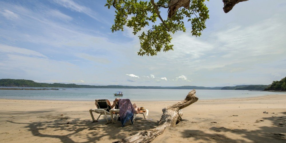 Occidental Papagayo – fotka 4