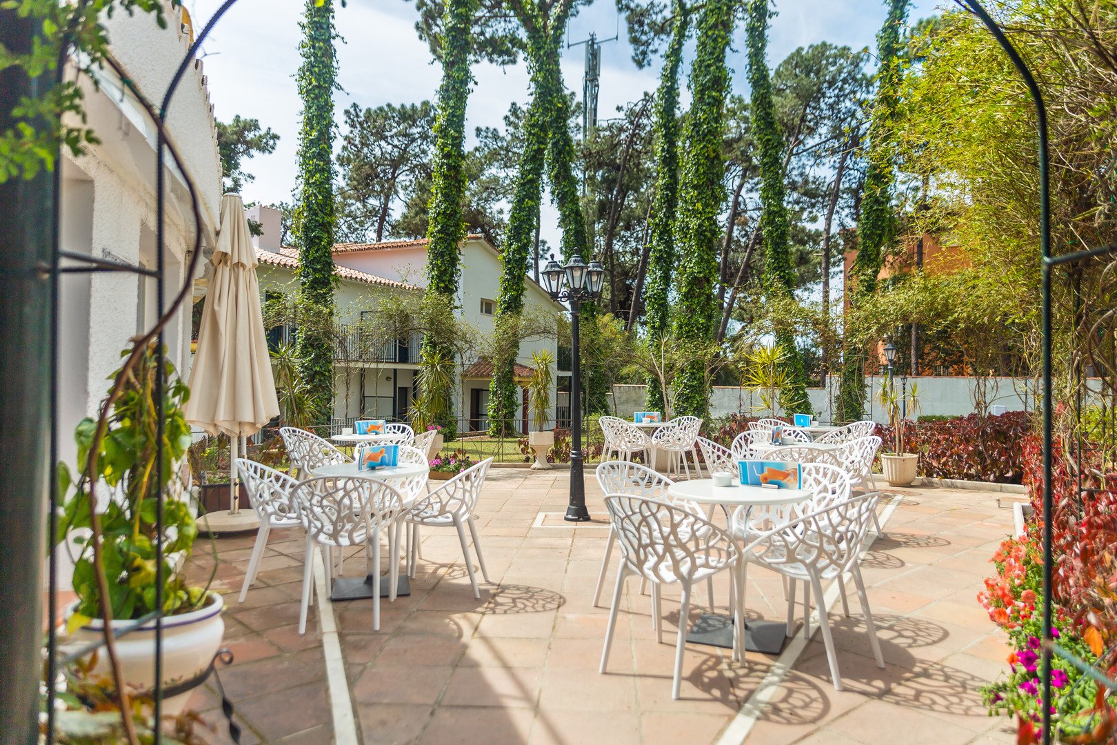 Aluasun Marbella Park – fotka 16