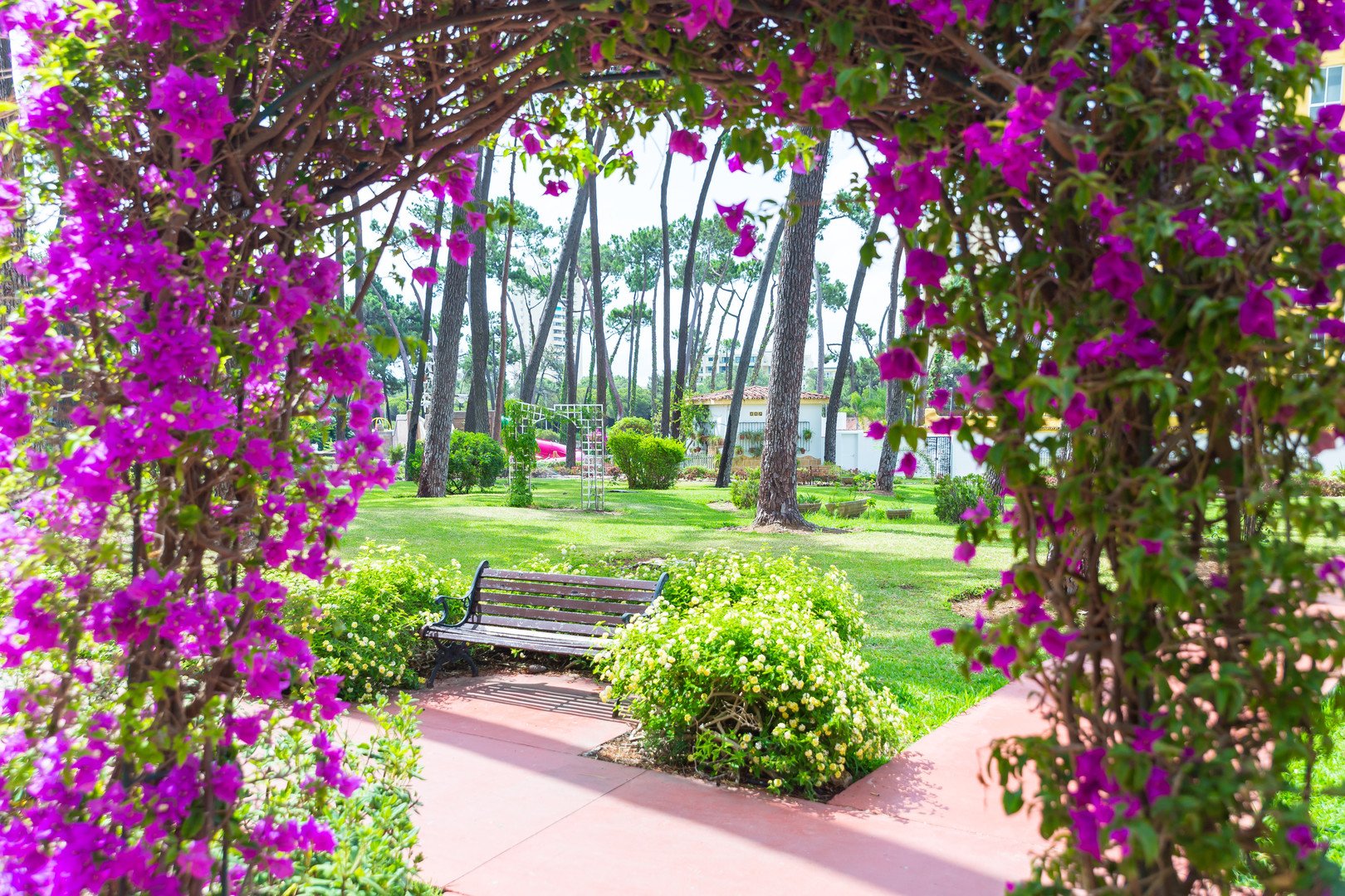 Aluasun Marbella Park – fotka 18
