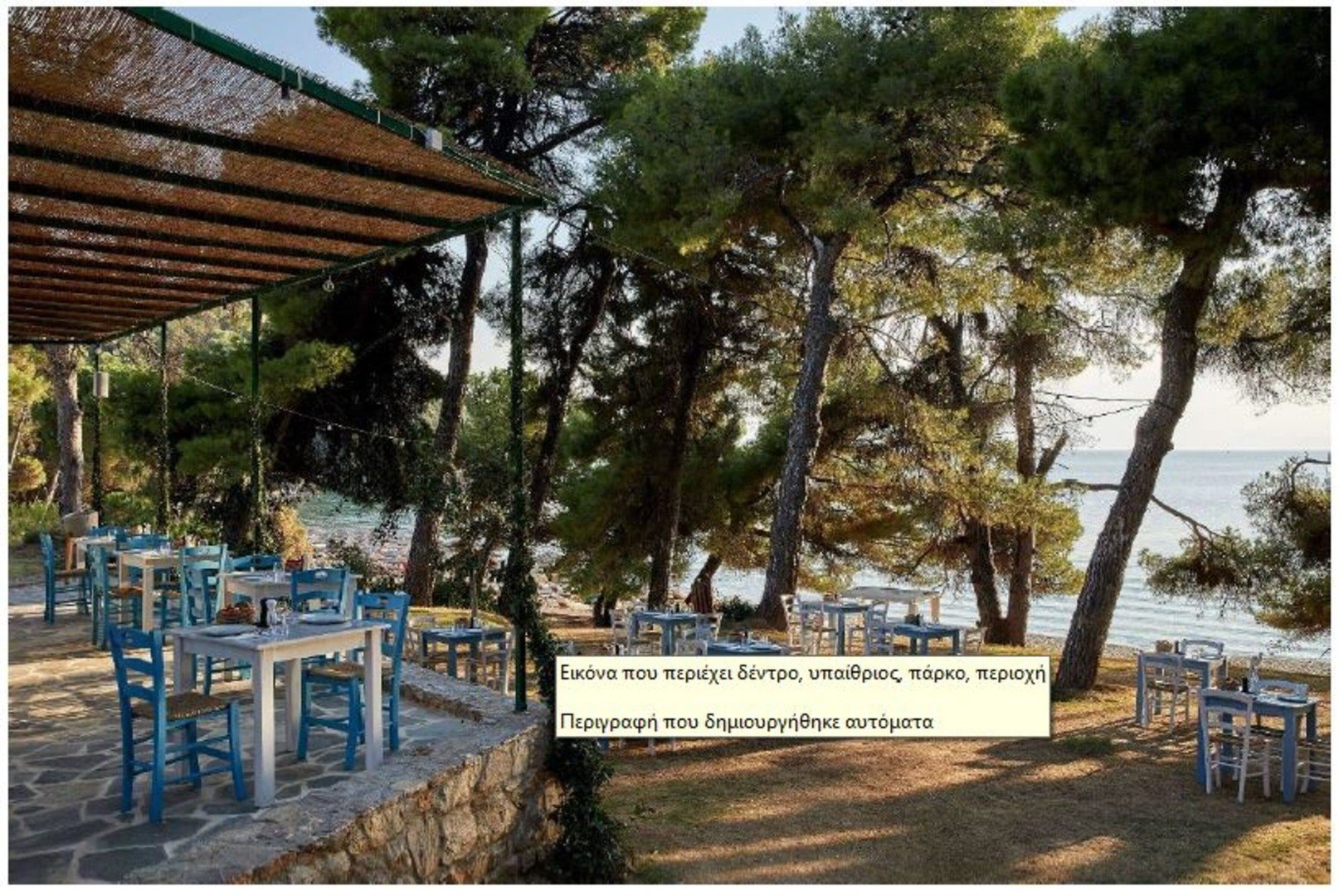 Elivi Skiathos – fotka 13