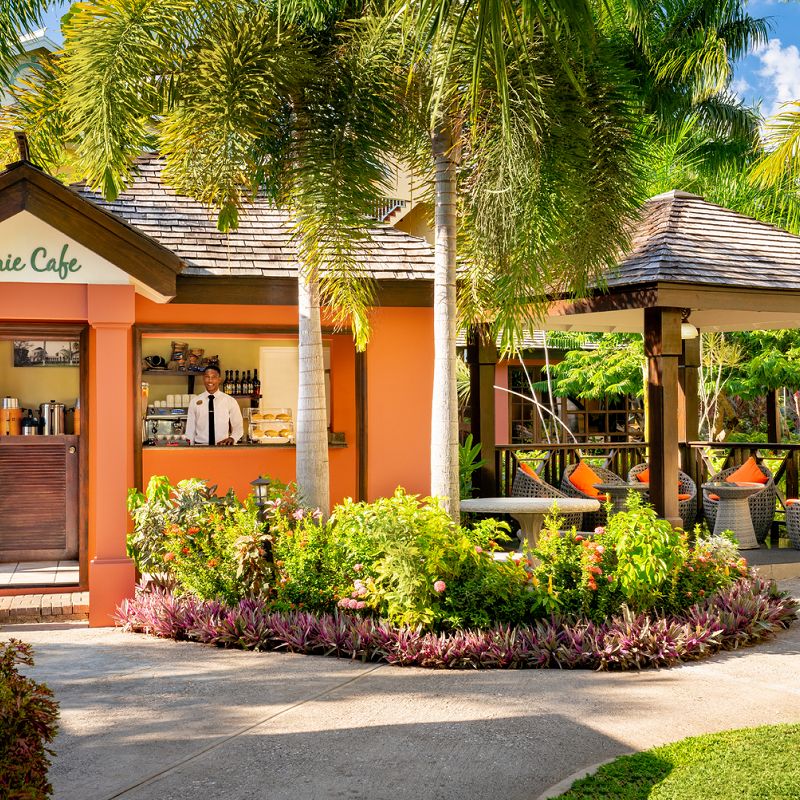 Jewel Paradise Cove Beach Resort & Spa – fotka 8