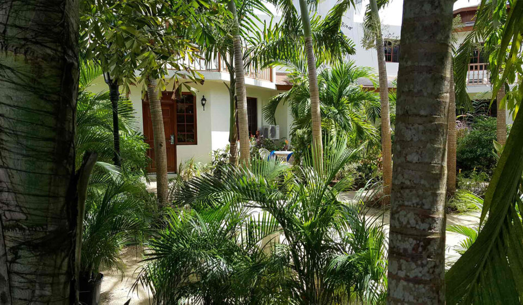 Coco La Palm Seaside Resort – fotka 12