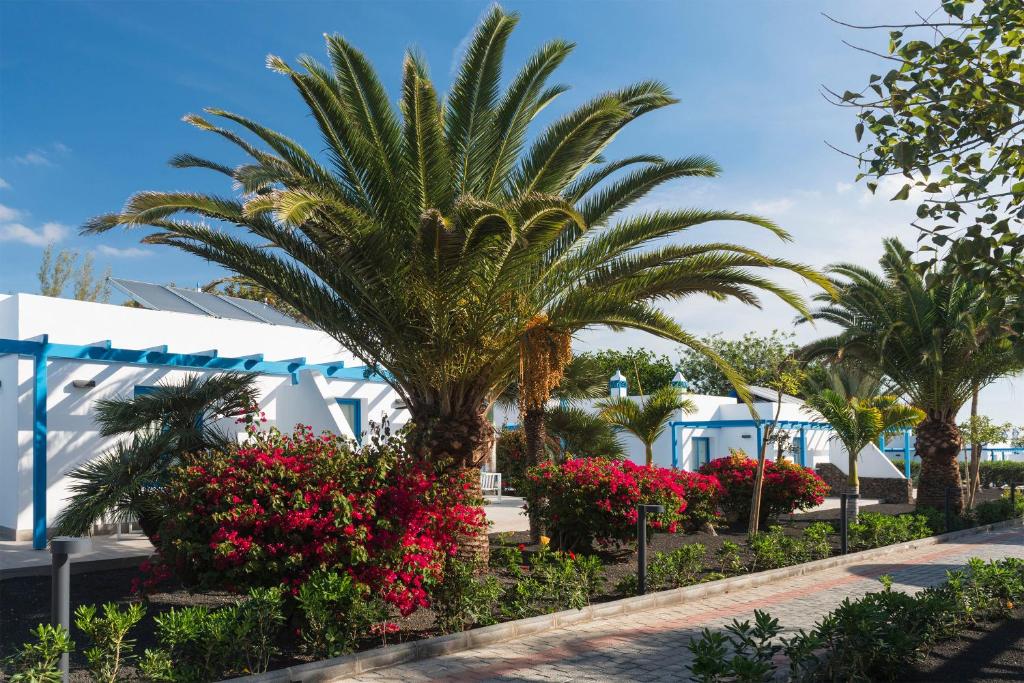 Elba Lanzarote Royal Village Resort – fotka 15