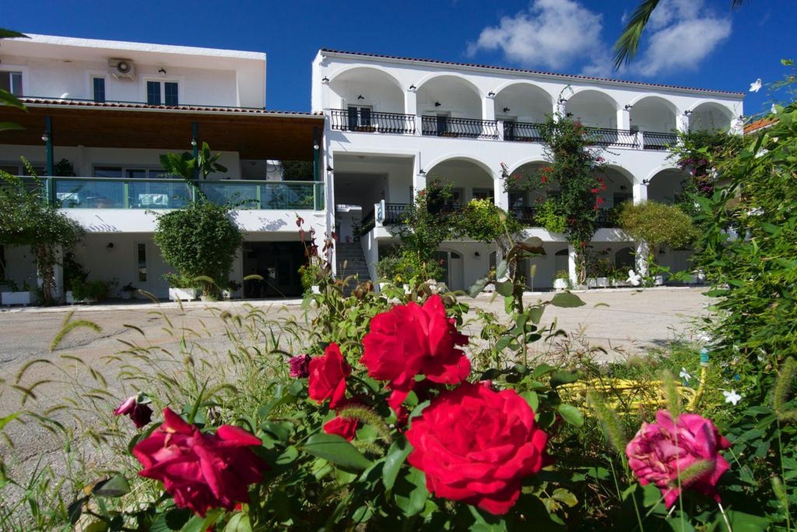 Athina Hotel – fotka 15