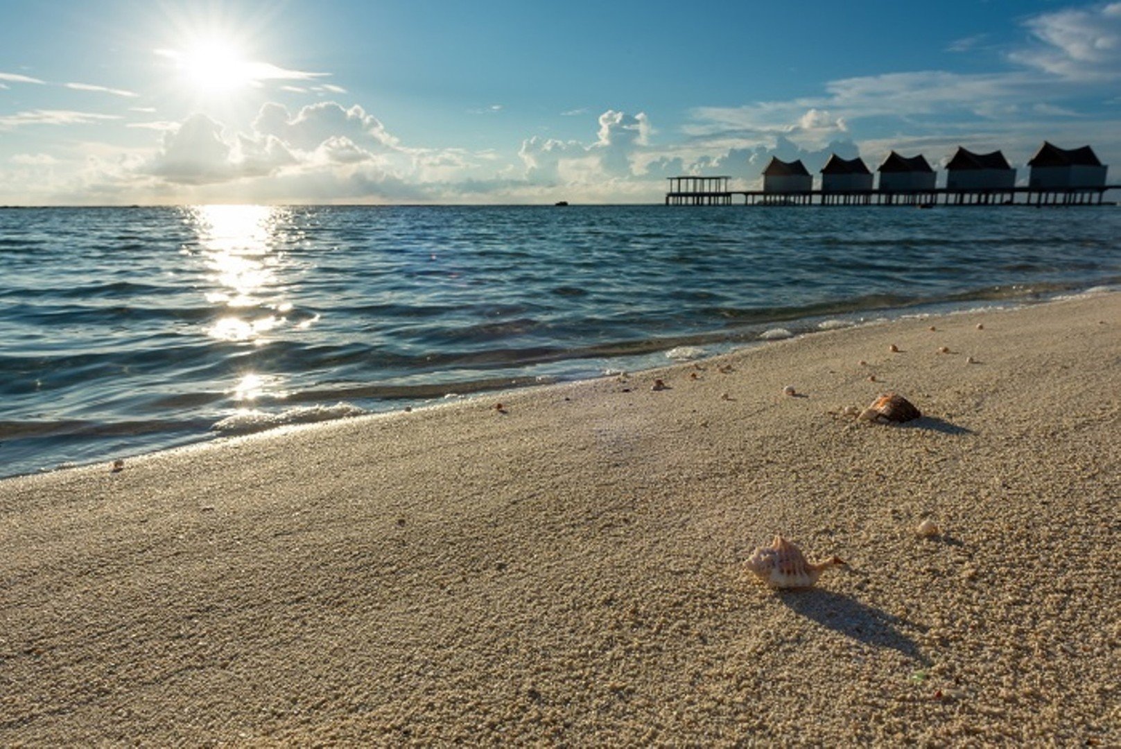 Mövenpick Resort Kuredhivaru – fotka 5