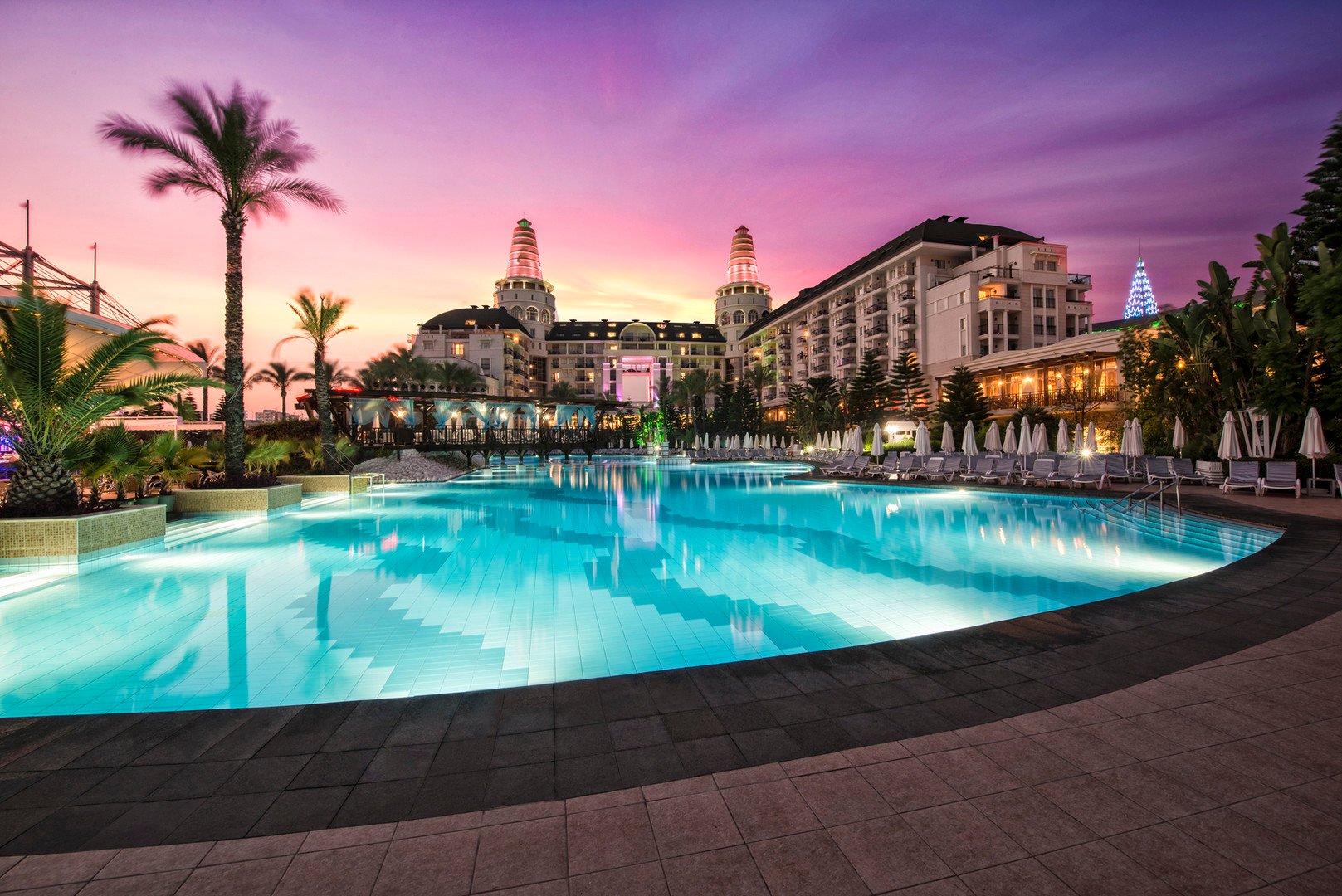 Delphin Diva – fotka 10