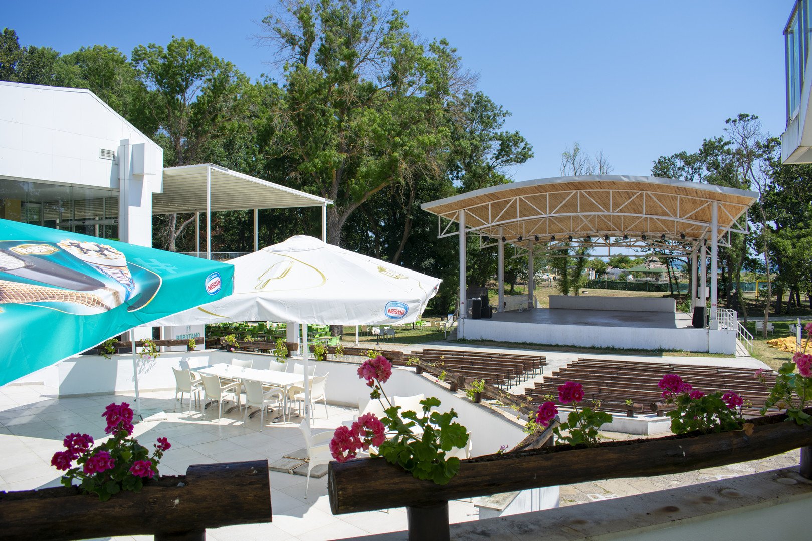 Forest Beach – fotka 18