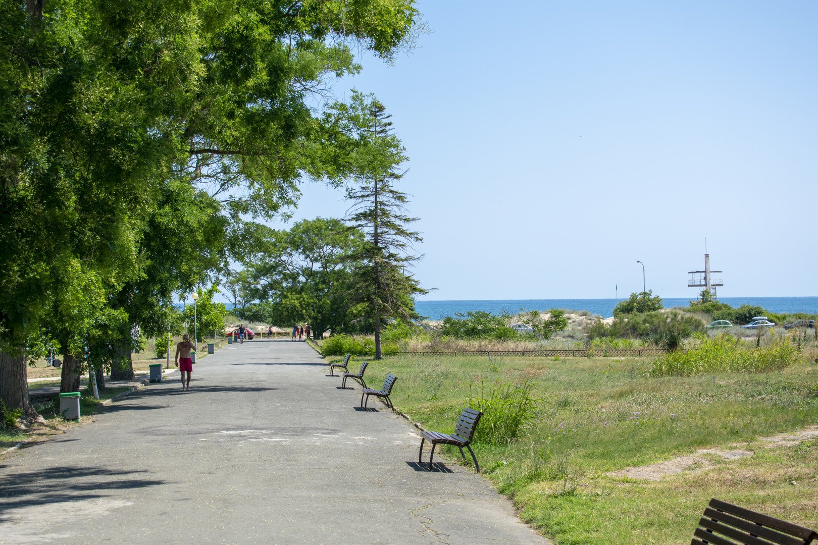 Forest Beach – fotka 26