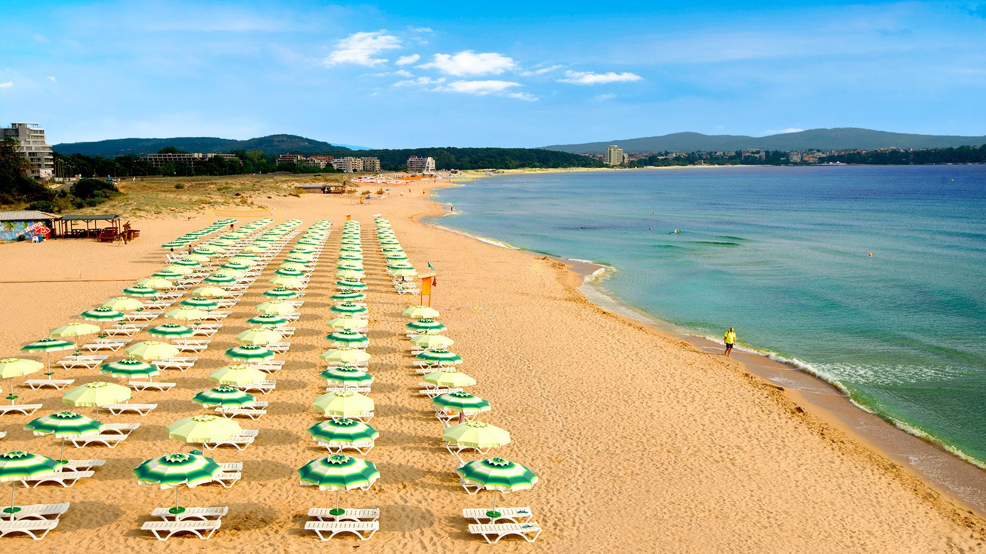Forest Beach – fotka 27
