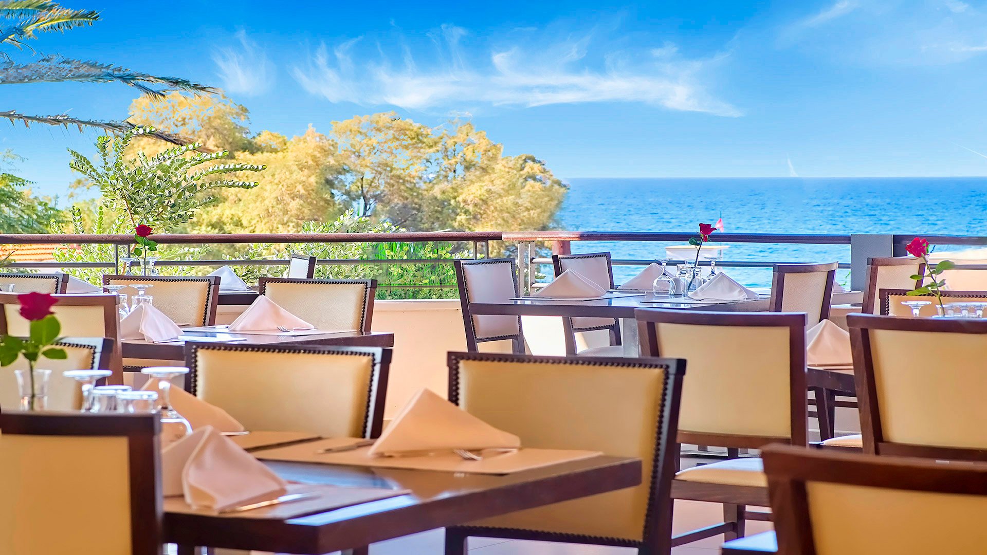 Creta Palm – fotka 11