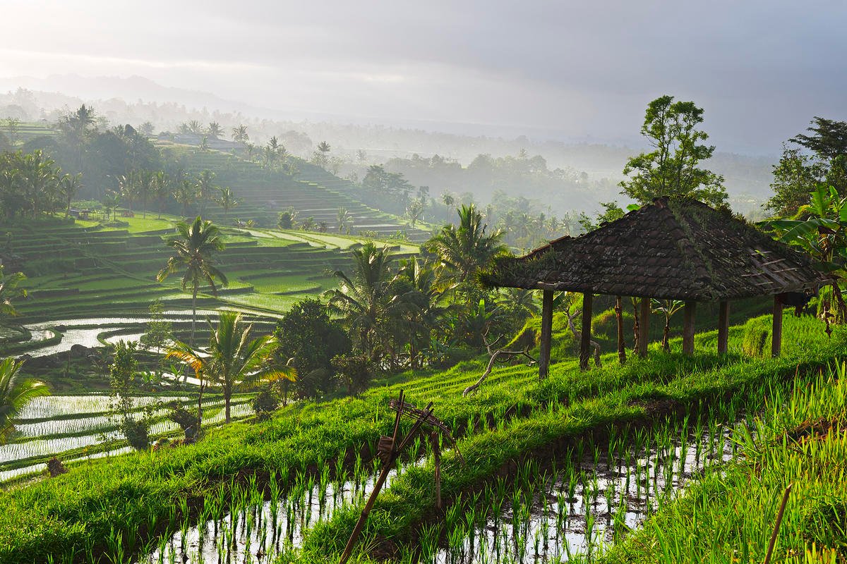 Obrázek hotelu Na Bali k moři i do vnitrozemí