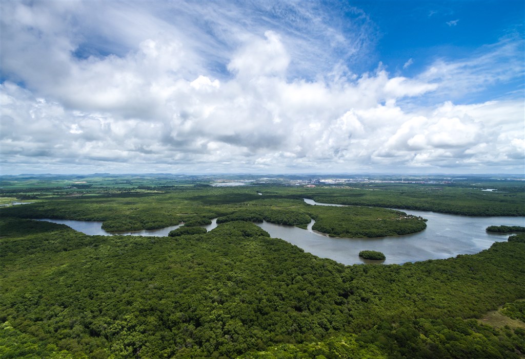 Velký okruh Brazílií s návštěvou Amazonie – fotka 6