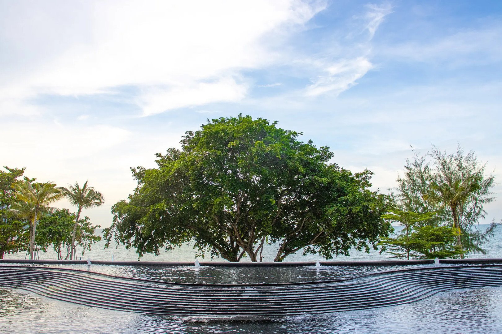 Angsana Teluk Bahang – fotka 11