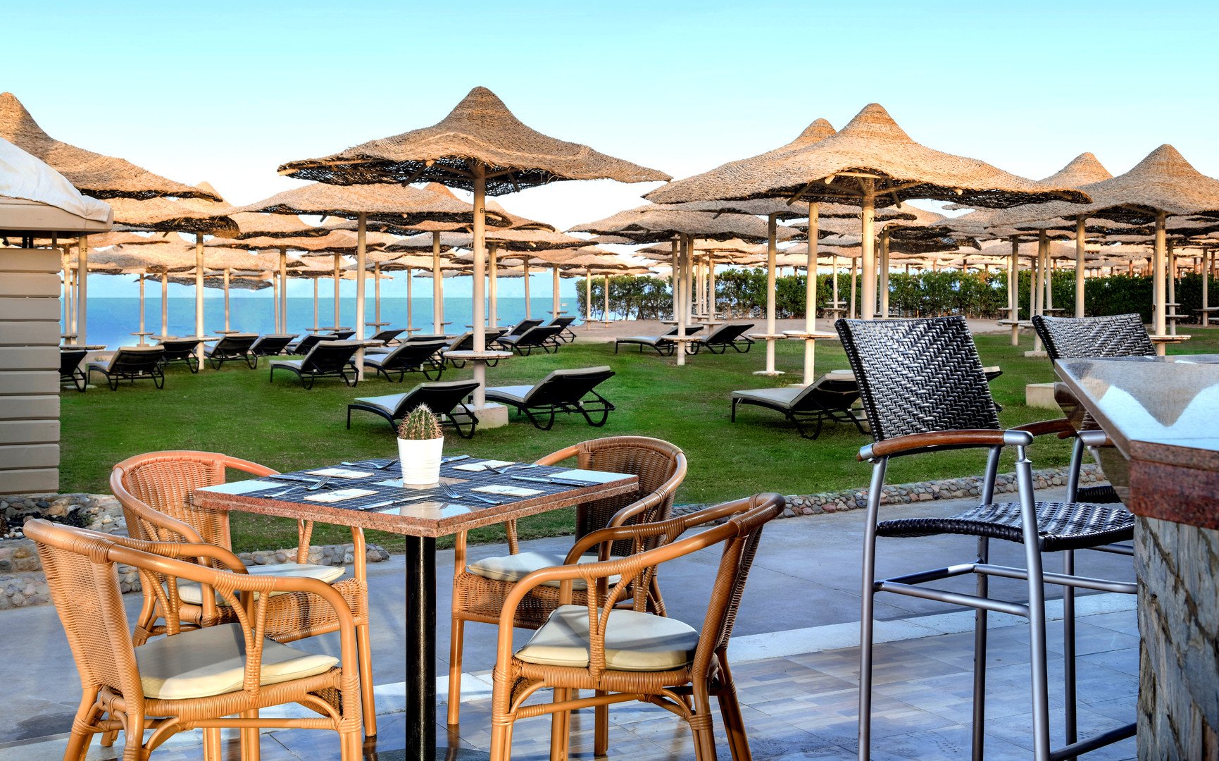 Jaz Makadi Star and SPA – fotka 5
