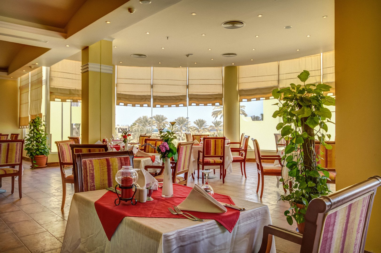 Palm Beach – fotka 21