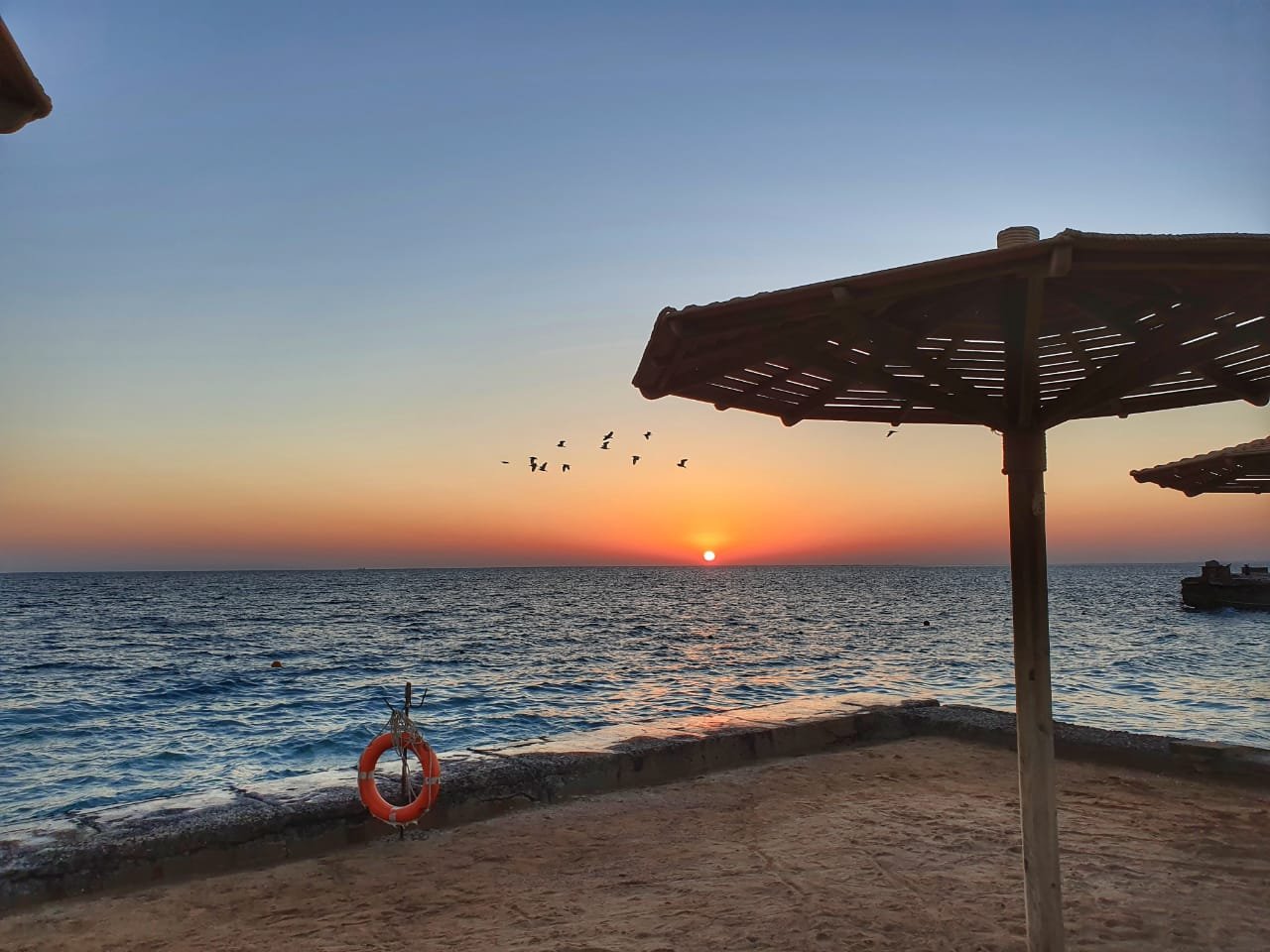 Palm Beach – fotka 50