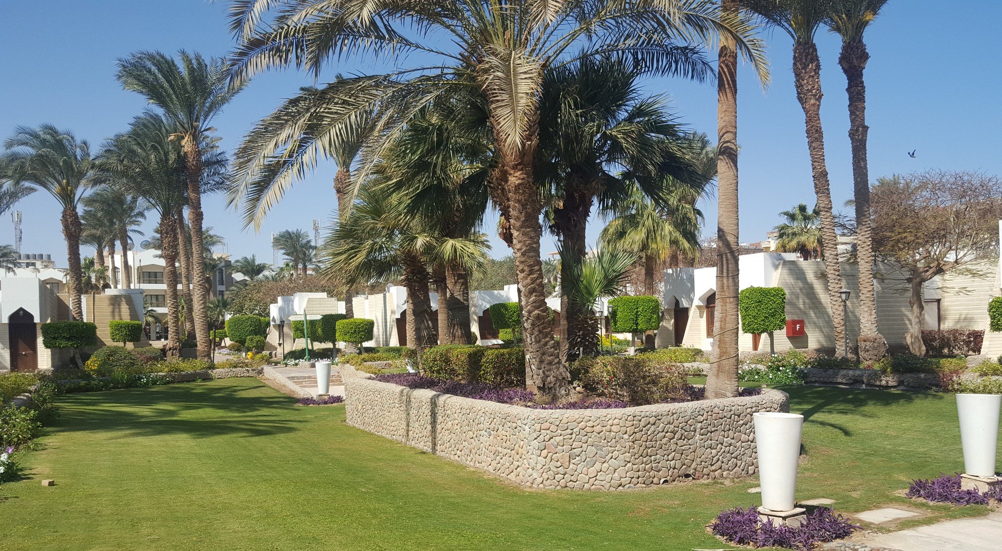 Zya Regina Resort and Aquapark – fotka 21