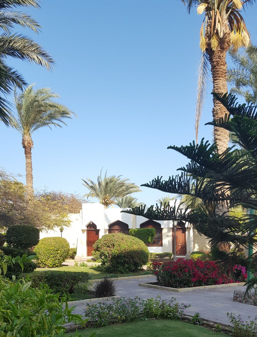 Zya Regina Resort and Aquapark – fotka 22