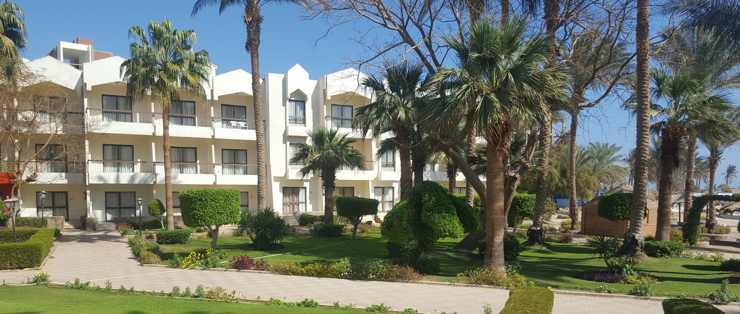 Zya Regina Resort and Aquapark – fotka 46