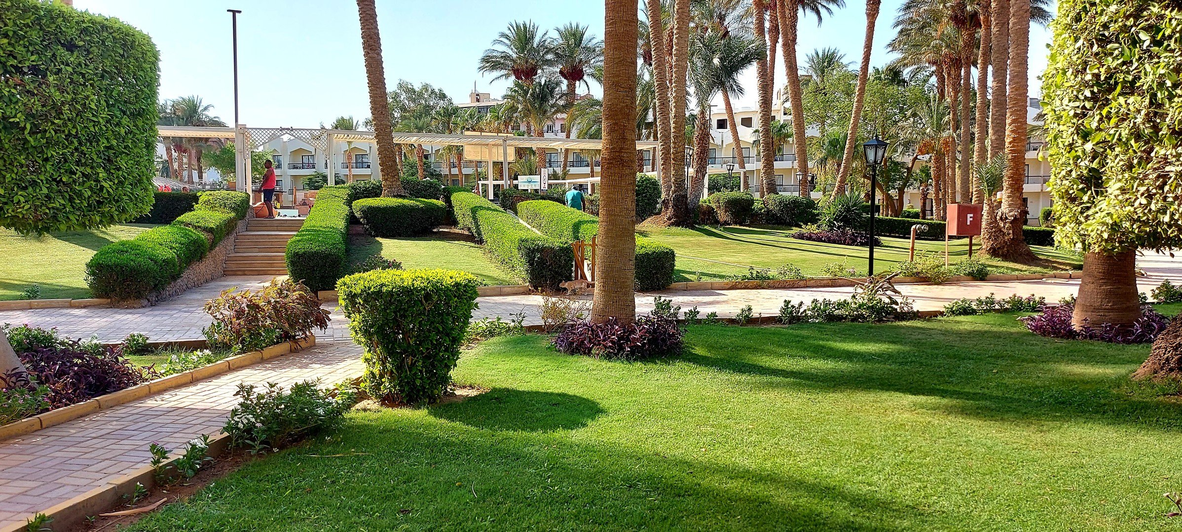 Zya Regina Resort and Aquapark – fotka 53