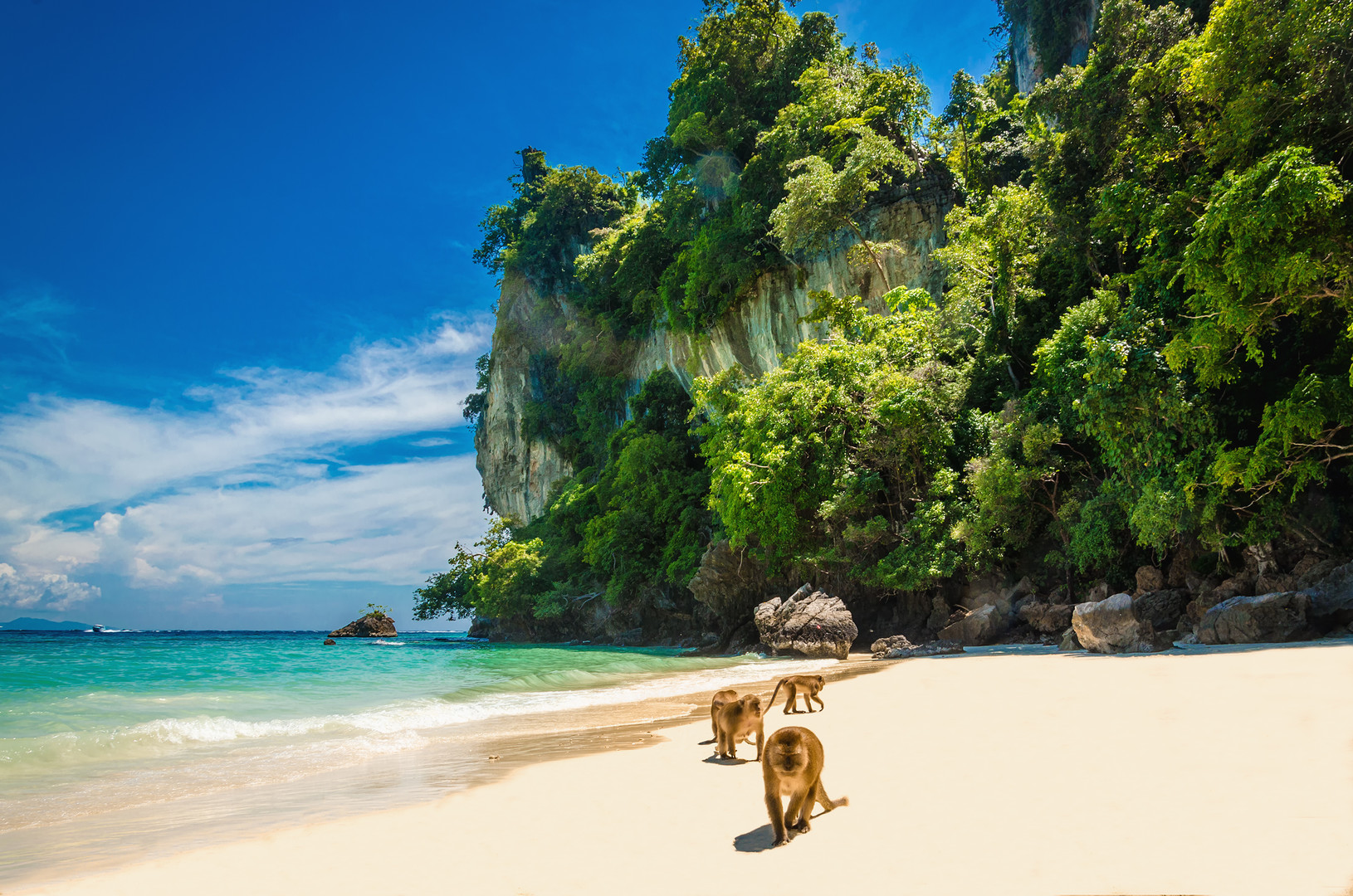 Thajsko - putování po ostrovech – fotka 9