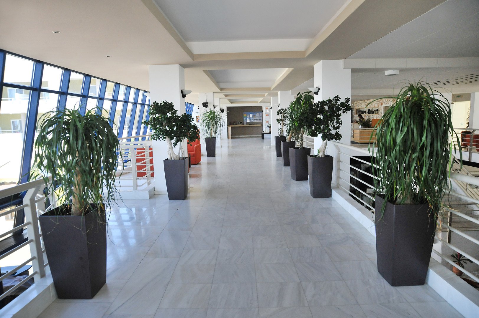 Kos Palace – fotka 72