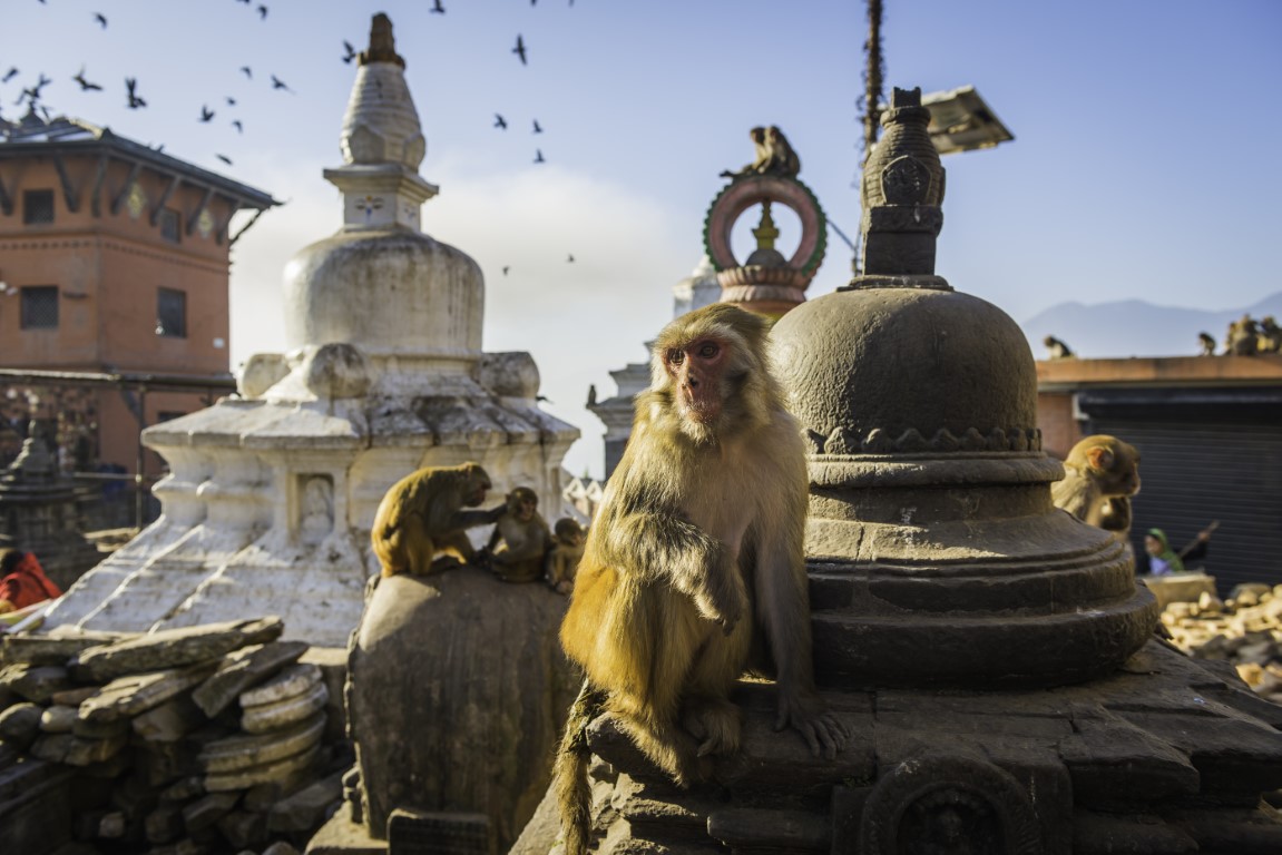 Obrázek hotelu Královská města Nepálu ve stínu Himalájí