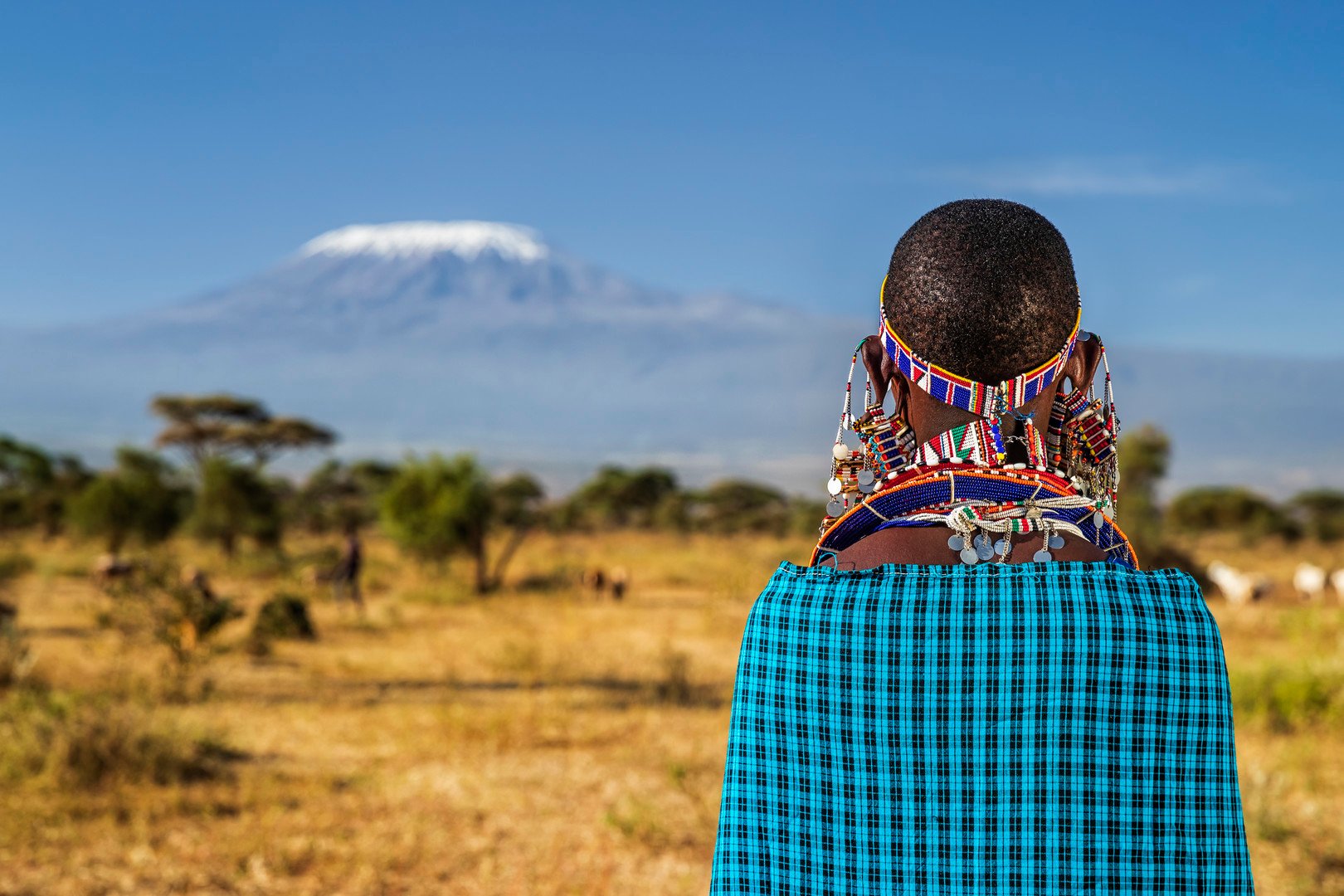 Vzpomínky na Afriku: Safari v Keni – fotka 4