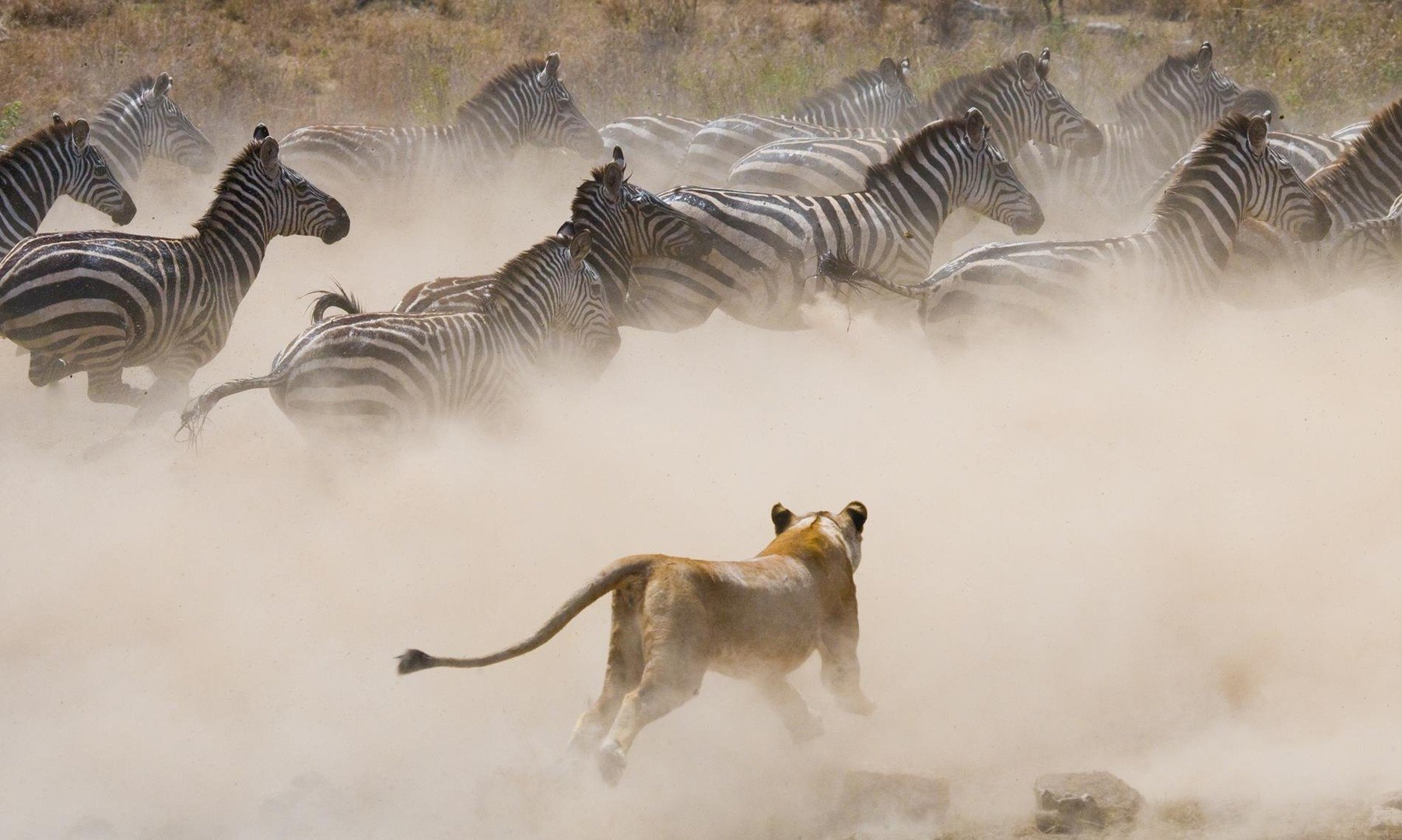 Vzpomínky na Afriku: Safari v Keni – fotka 5