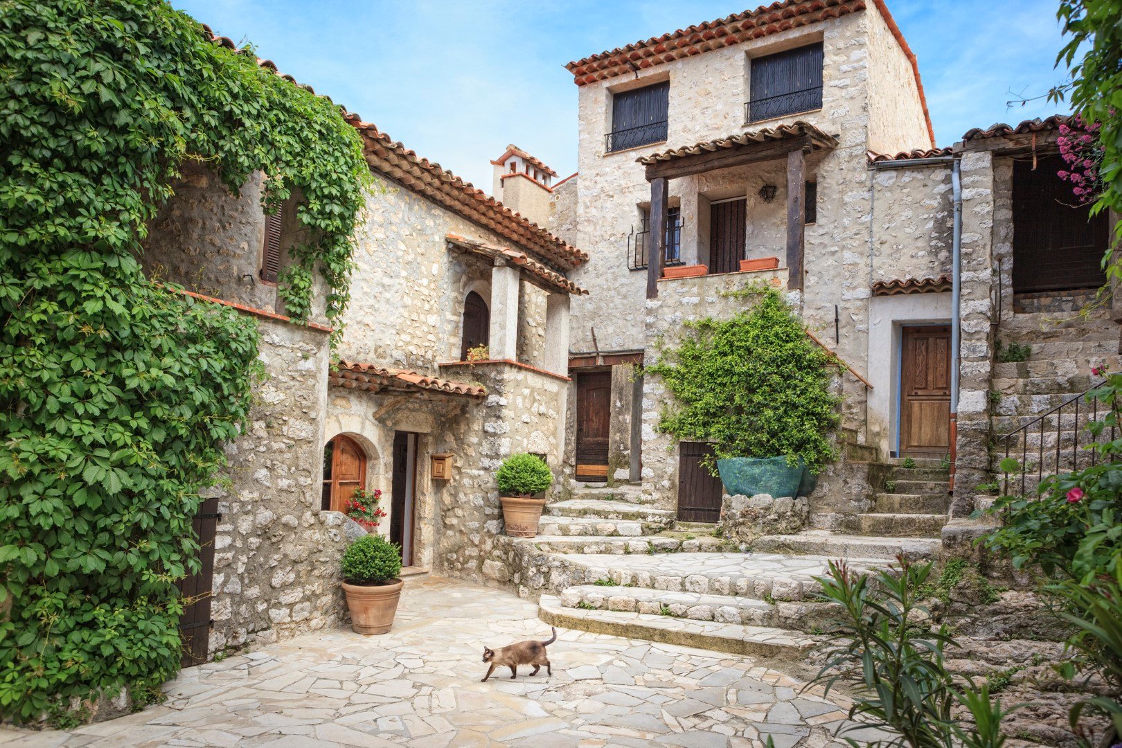 Lví zátoka s vůní Provence – fotka 9