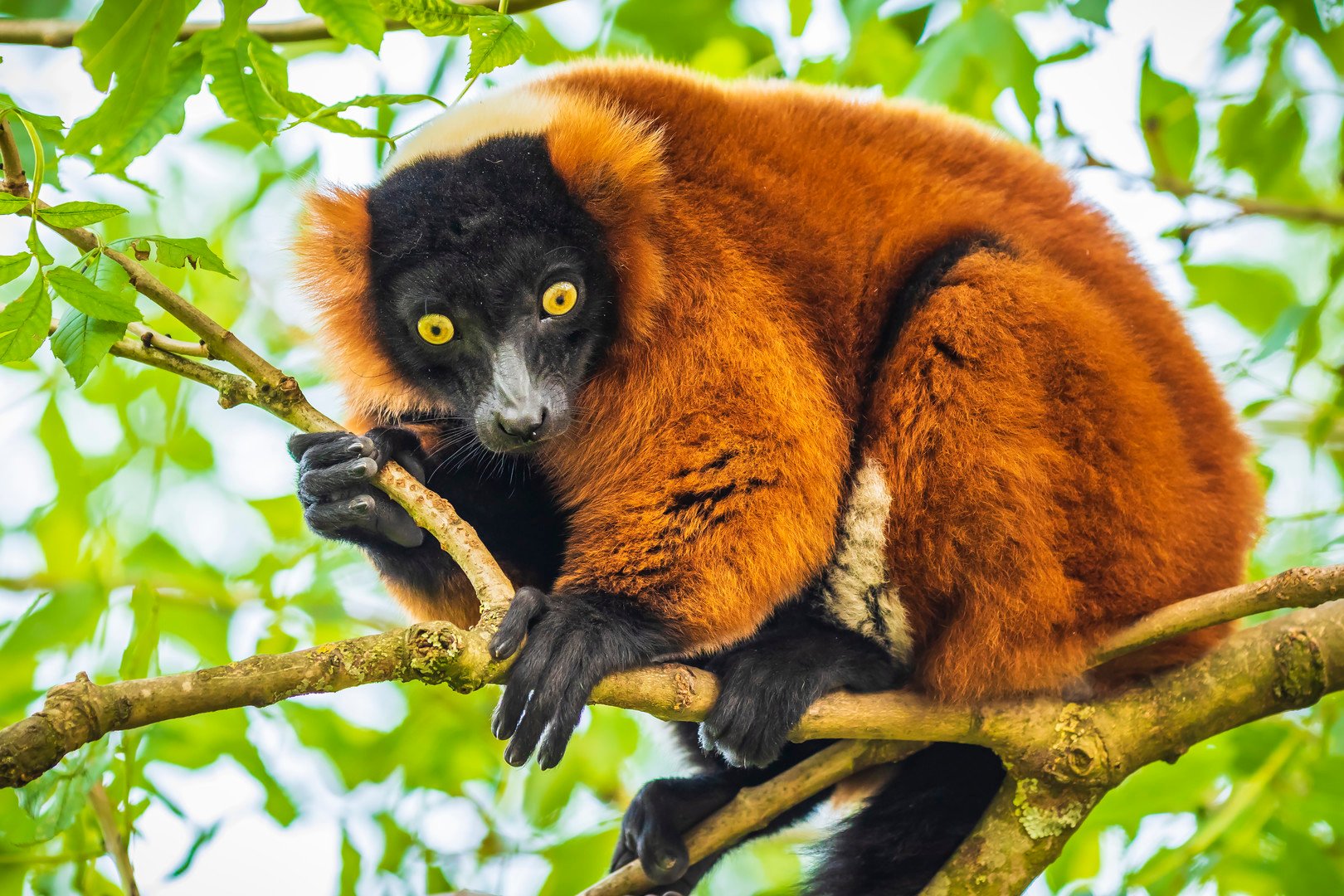 Přírodní krásy Madagaskaru – fotka 2