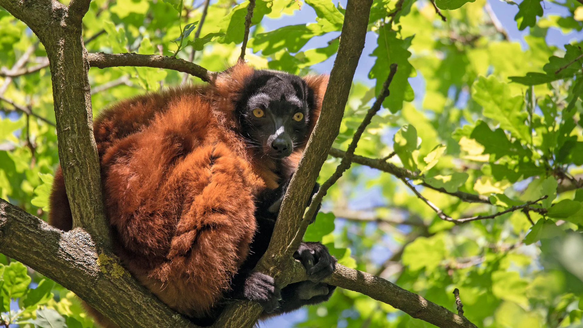 Přírodní krásy Madagaskaru – fotka 12