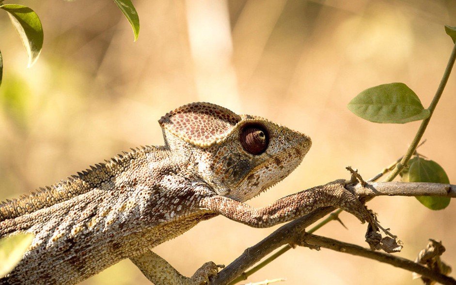 Přírodní krásy Madagaskaru – fotka 17