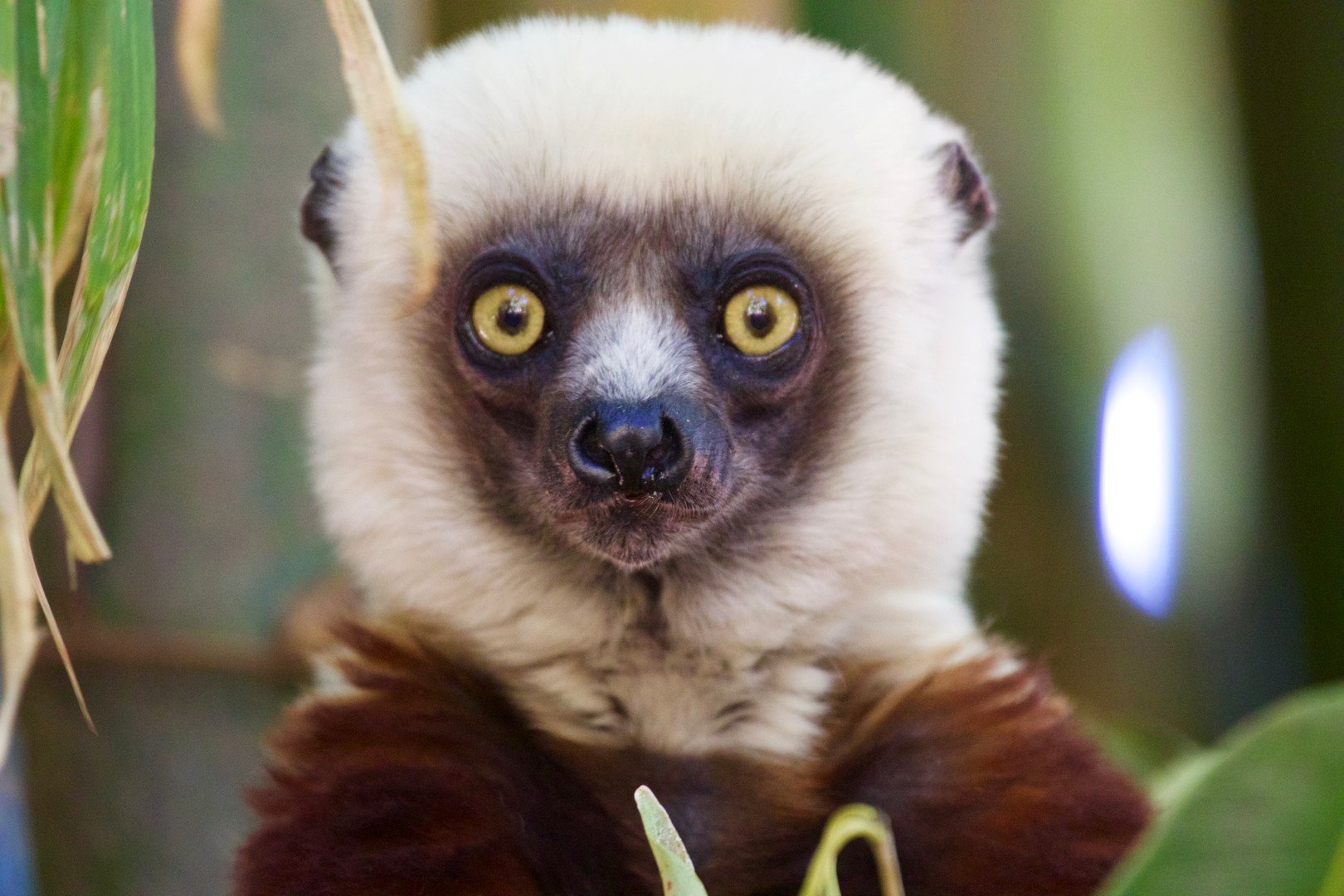 Přírodní krásy Madagaskaru – fotka 7