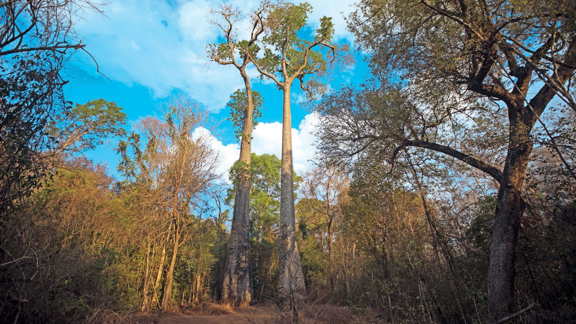 Přírodní krásy Madagaskaru – fotka 9