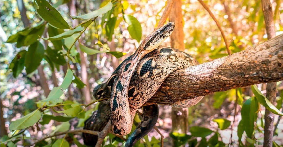 V krajině lemurů a baobabů – fotka 19