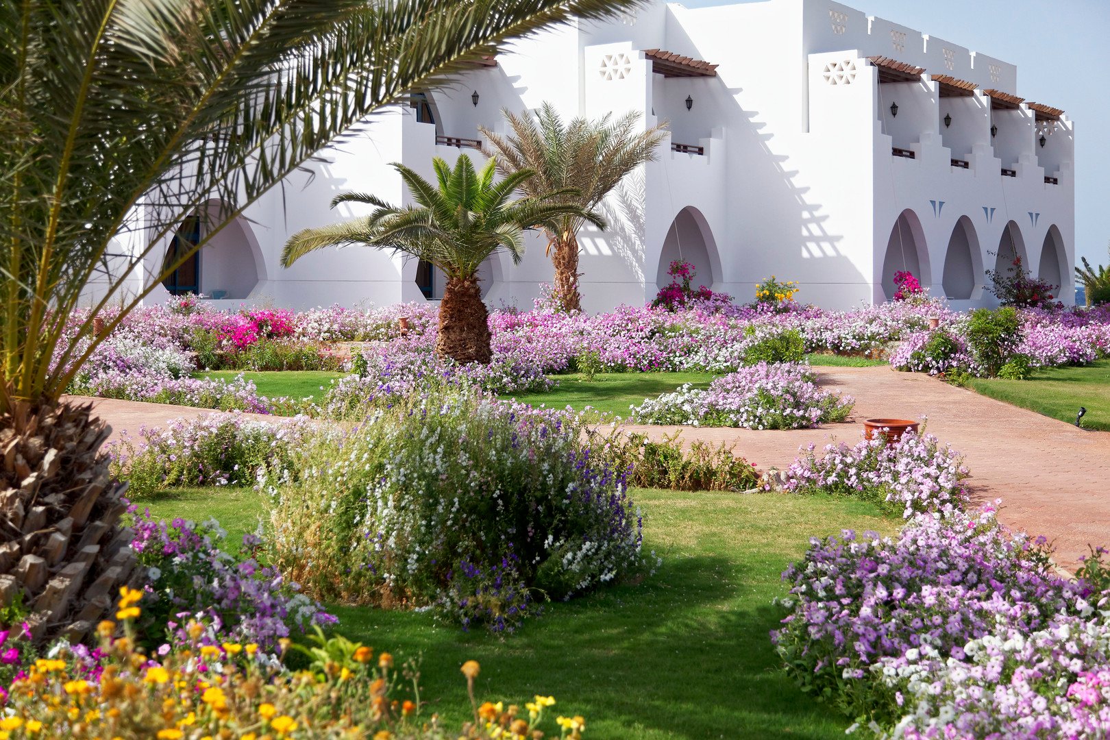 The Three Corners Equinox Beach Resort – fotka 5