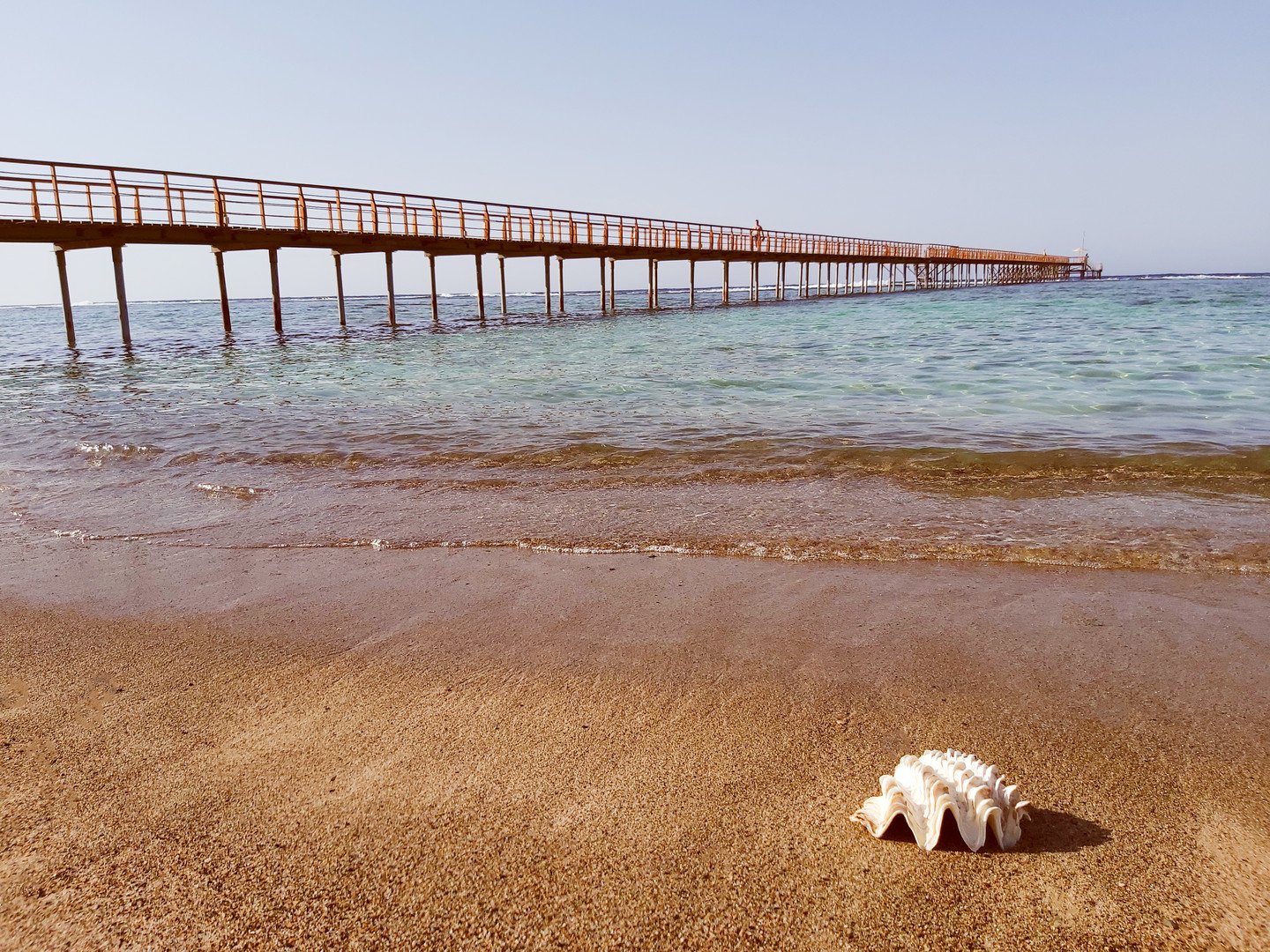 Lazuli Marsa Alam – fotka 19