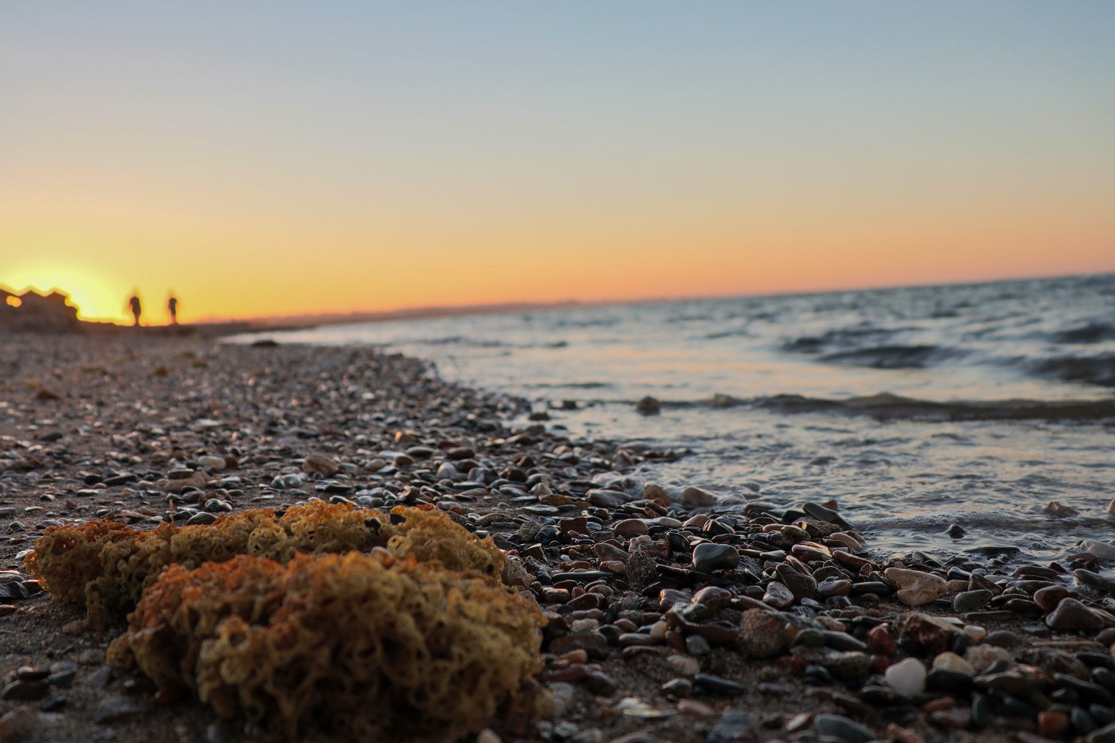 Lazuli Marsa Alam – fotka 20