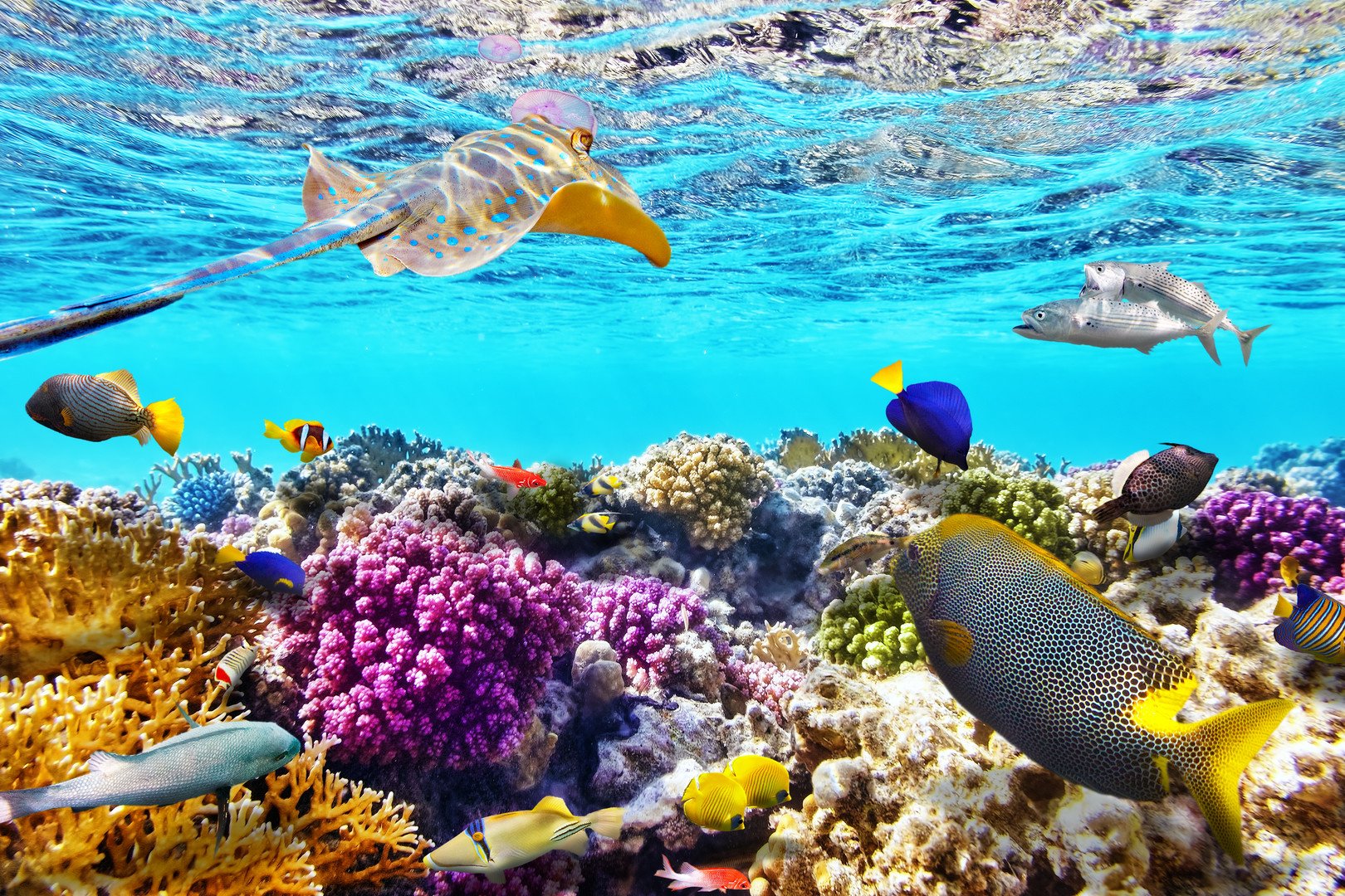 Plavba po Nilu z Marsa Alam – fotka 16