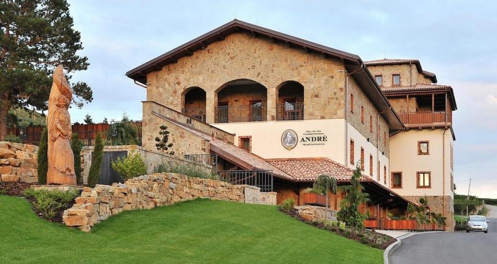 Obrázek hotelu Vinařský penzion André