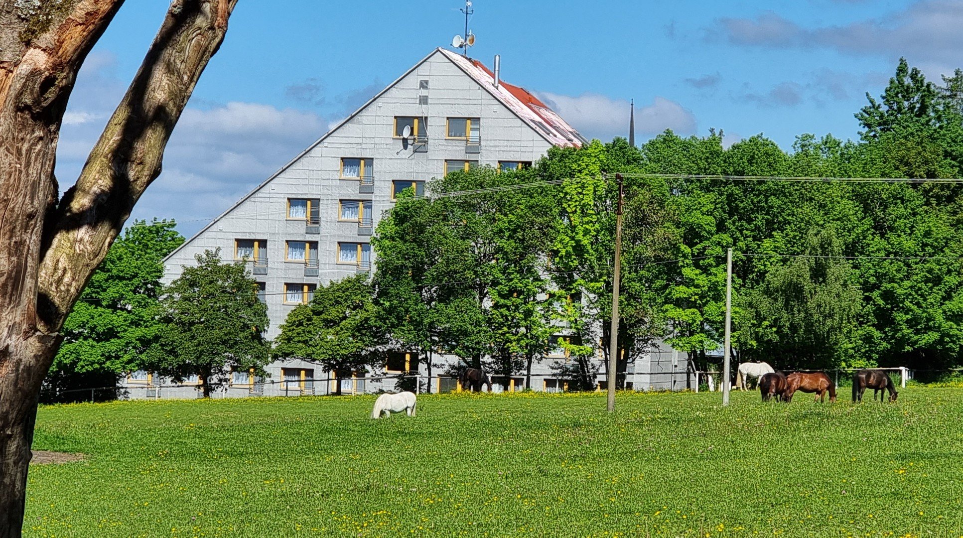 4denní relax pobyt v hotelu Krakonoš v Mariánských Lázních – fotka 2