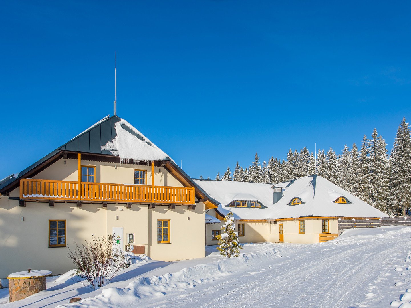 EA Horský hotel Hájenka – fotka 17