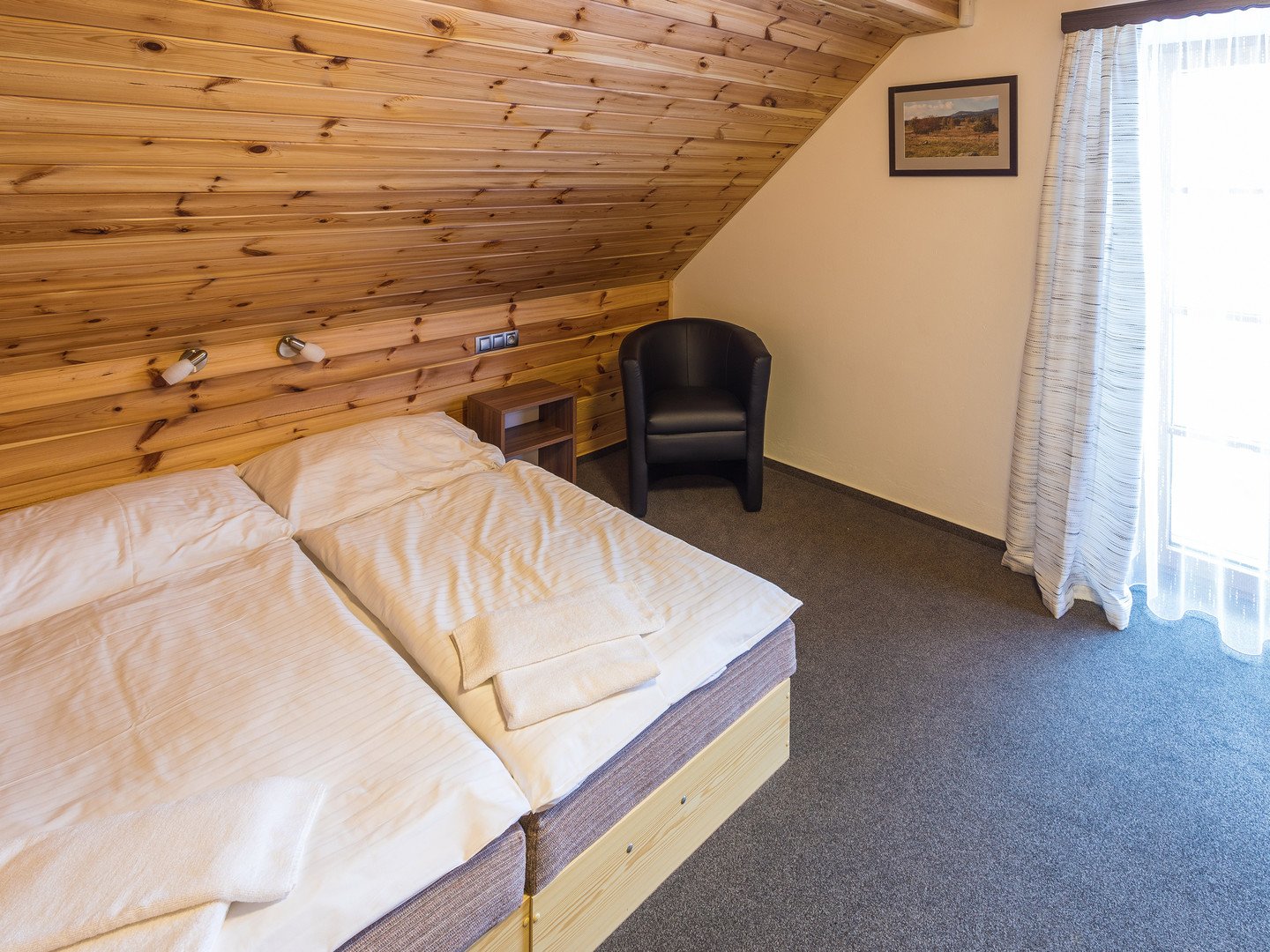 EA Horský hotel Hájenka – fotka 4
