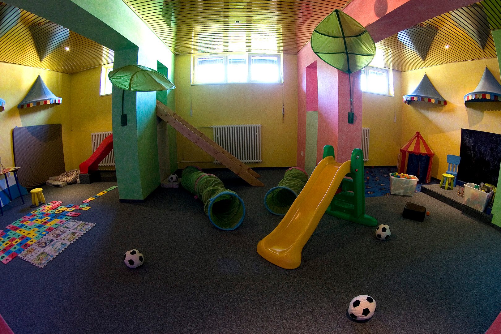 Srní – fotka 14