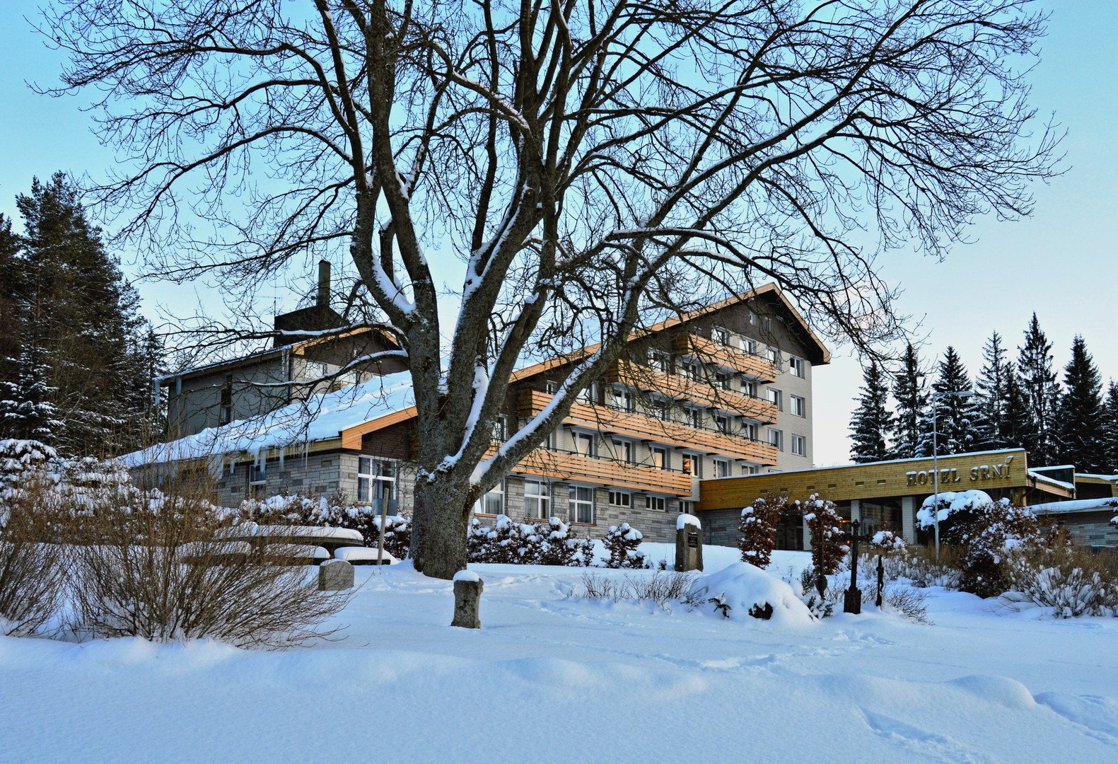 Srní – fotka 26